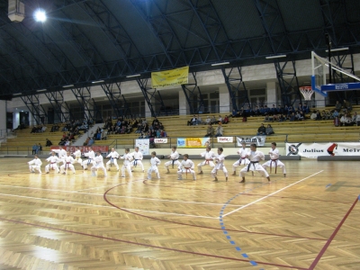 Sportgla 2008